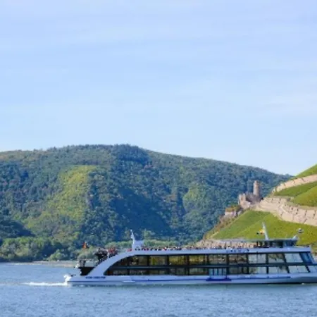 Business & Comfort An Der Rheinpromenade Accommodatie bij particulieren Bingen am Rhein